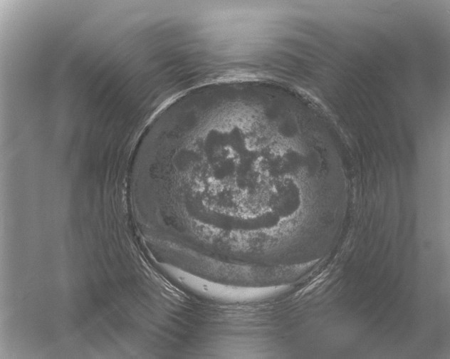 X0000056331409200509232001