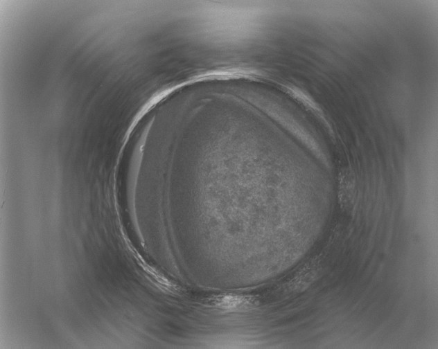 X0000056331412200509232001