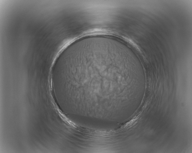 X0000056331413200509232001