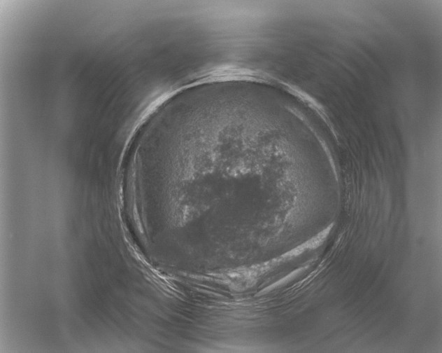 X0000056331415200509232001