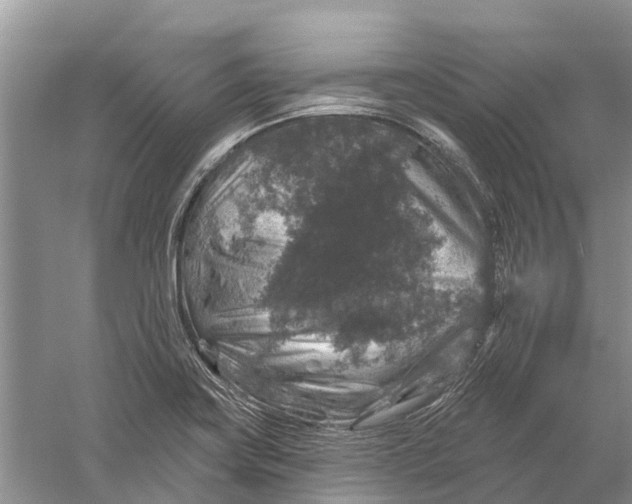 X0000056331419200509232001