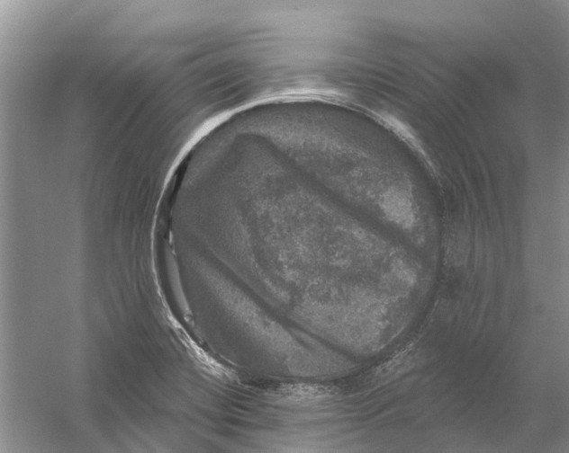 X0000056331420200509232001