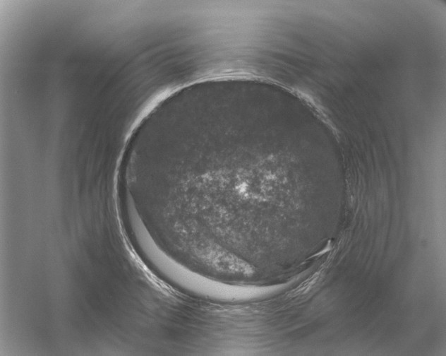 X0000056331422200509232001