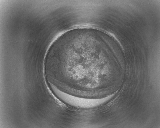 X0000056331424200509232001