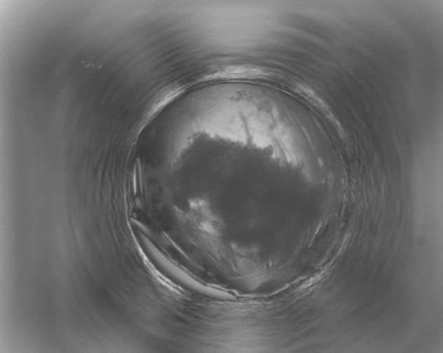 X0000056331425200509232001