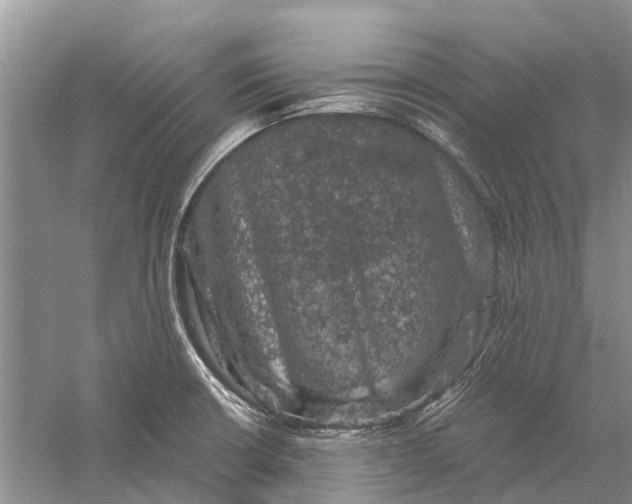 X0000056331426200509232001