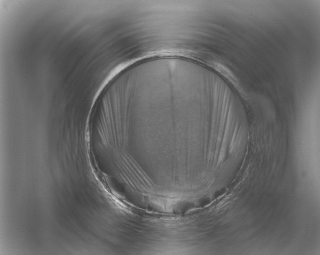 X0000056331428200509232001