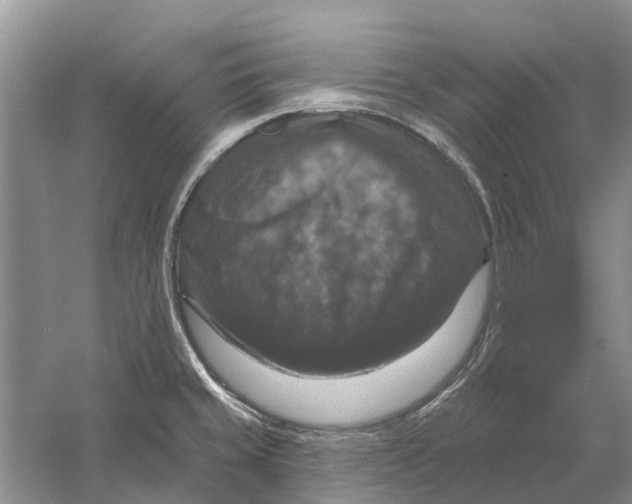 X0000056331429200509232001