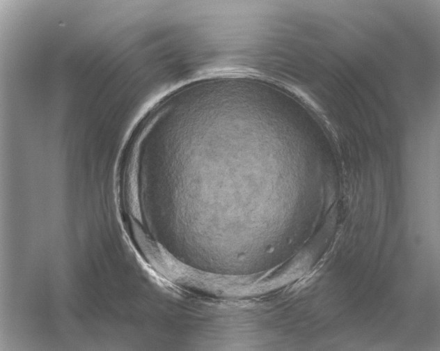 X0000056331430200509232001