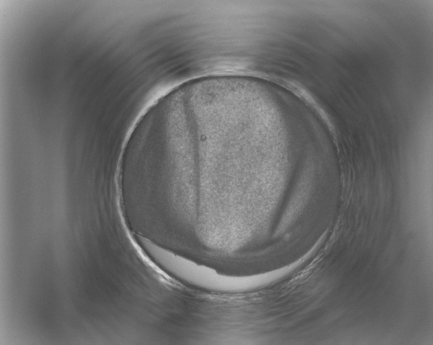 X0000056331432200509232001