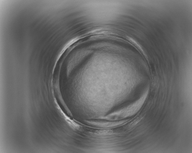 X0000056331434200509232001