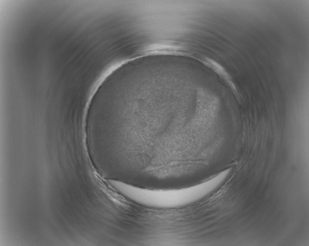 X0000056331435200509232001