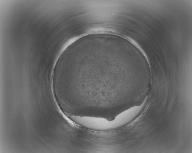 X0000056331437200509232001