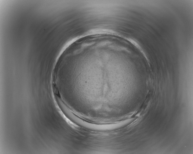 X0000056331438200509232001