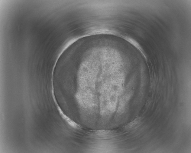 X0000056331439200509232001