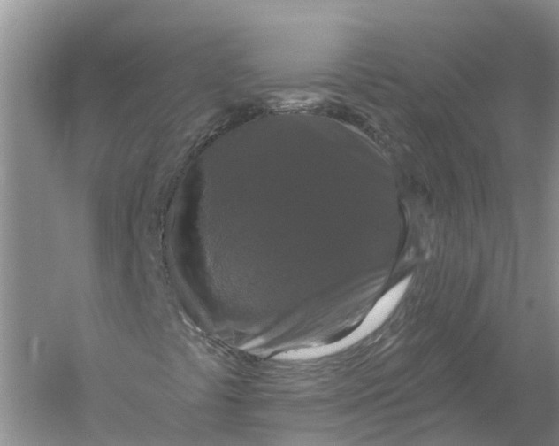 X0000056331441200509232000