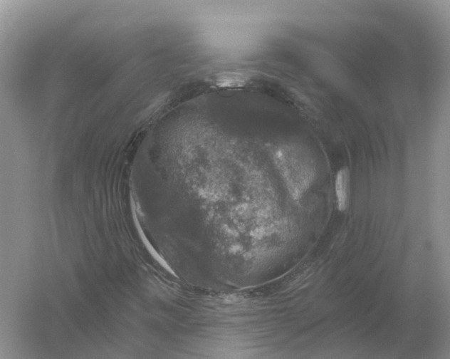 X0000056331443200509232000