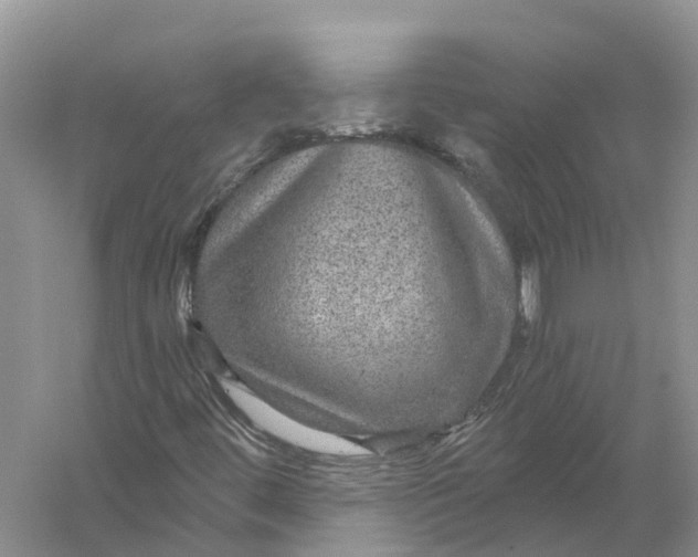 X0000056331444200509232000