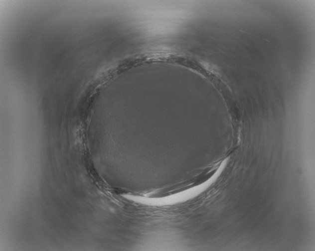 X0000056331445200509232000