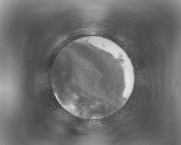 X0000056331446200509232000