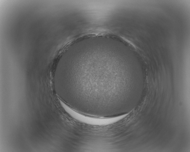 X0000056331447200509232000