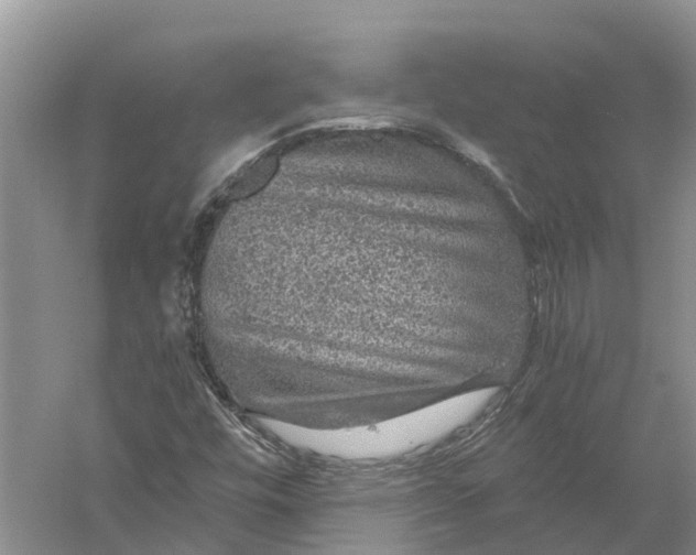 X0000056331448200509232000