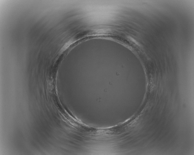 X0000056331449200509232000