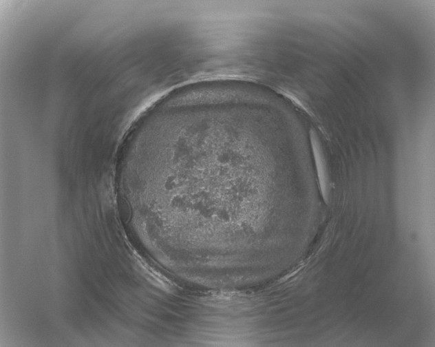 X0000056331452200509232000