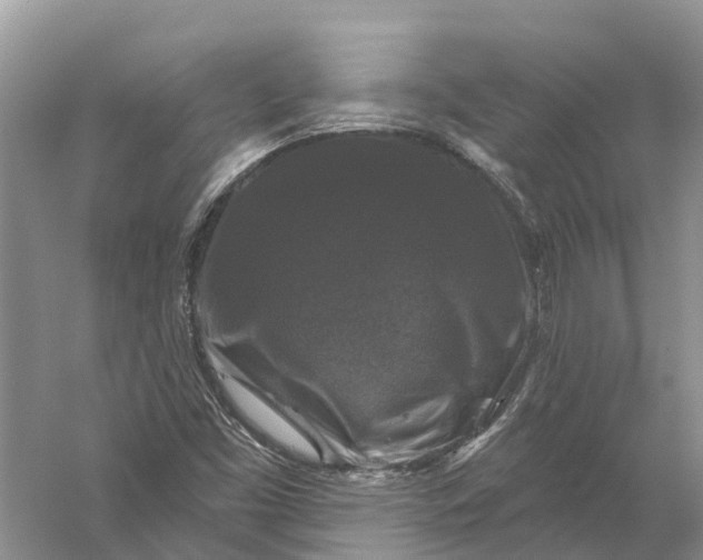 X0000056331453200509232000