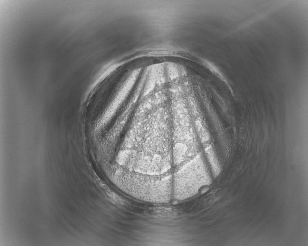 X0000056331456200509232000