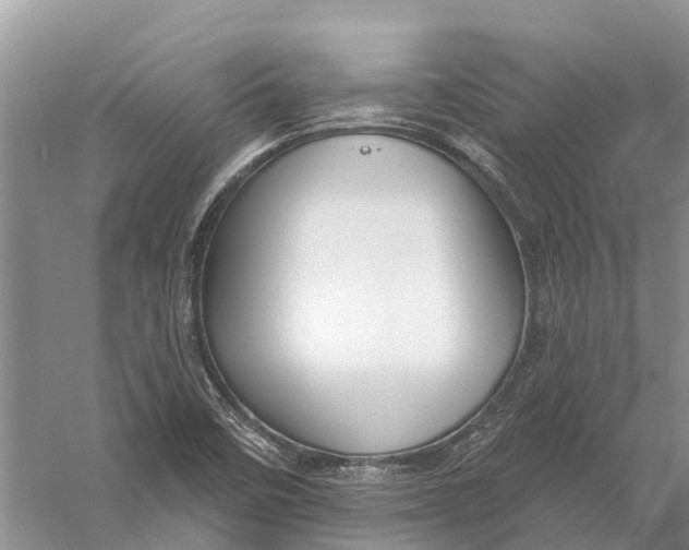 X0000056331458200509232000