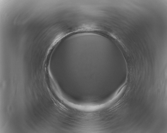 X0000056331459200509232000