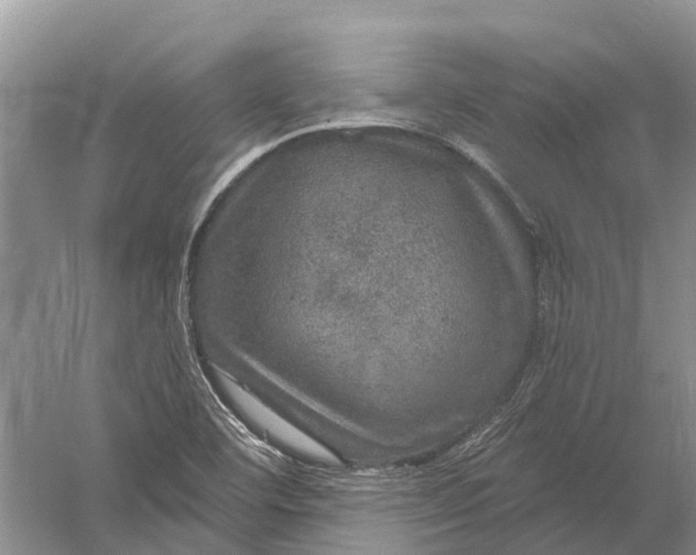 X0000056331460200509232000