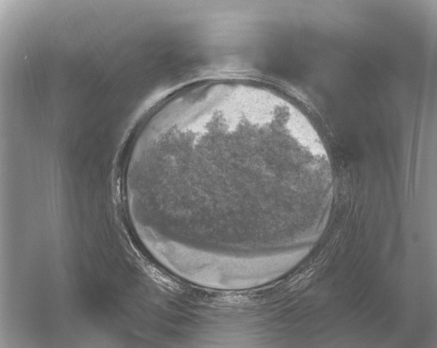 X0000056331462200509232000