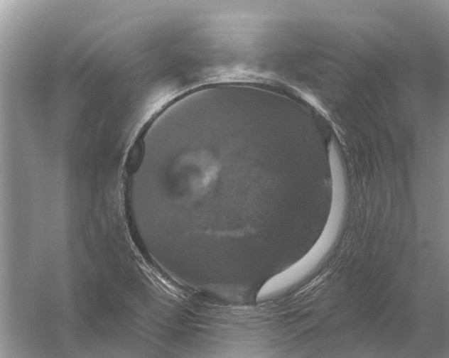 X0000056331463200509232000