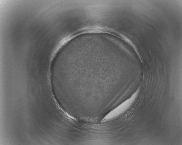 X0000056331464200509232000