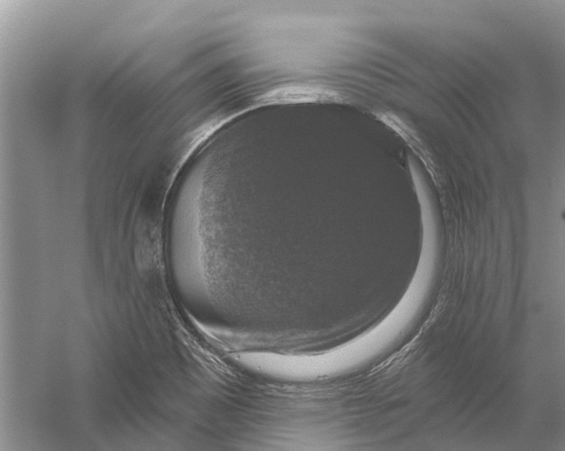 X0000056331465200509232000