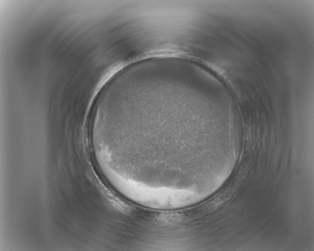 X0000056331466200509232000