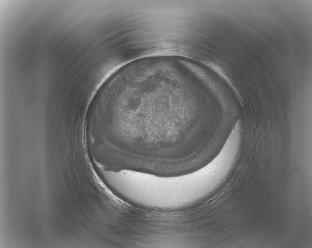 X0000056331468200509232000