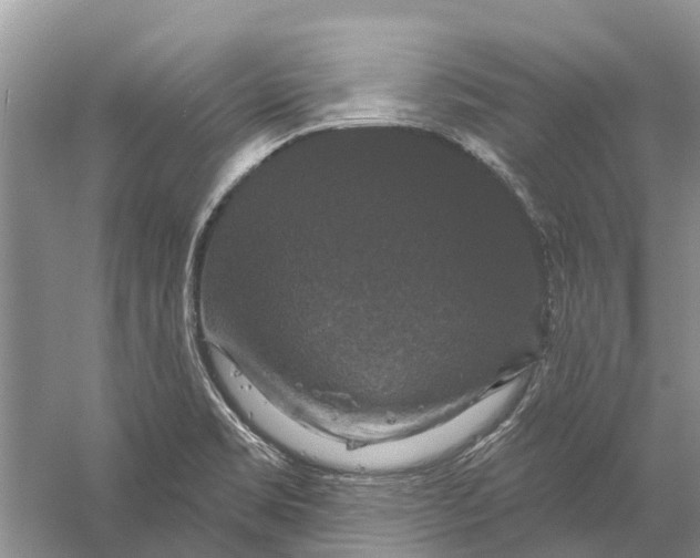 X0000056331469200509232000