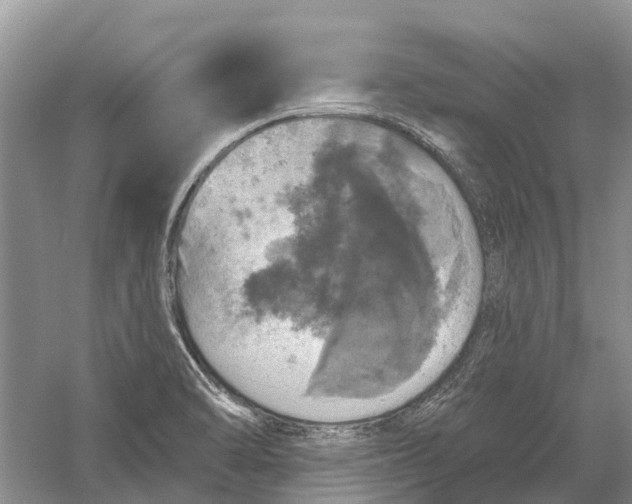 X0000056331470200509232000