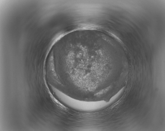 X0000056331471200509232000