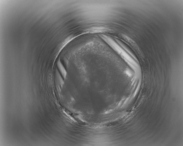 X0000056331473200509232000