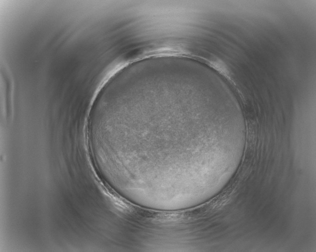 X0000056331474200509232000