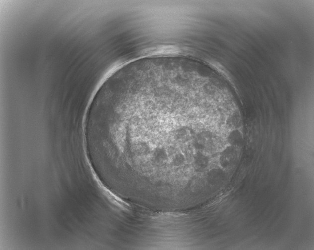 X0000056331475200509232000