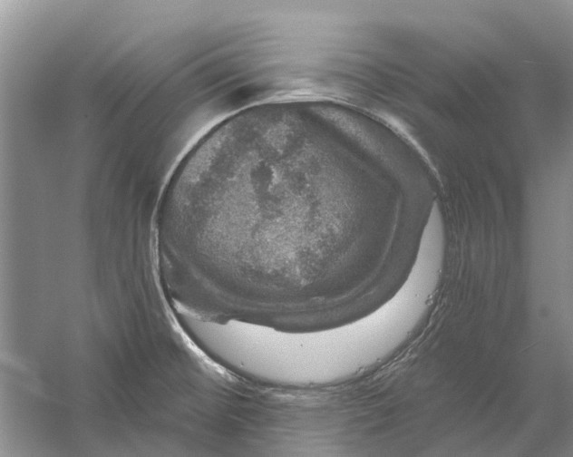 X0000056331476200509232000