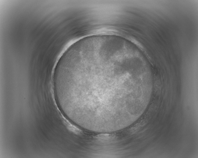 X0000056331478200509232000