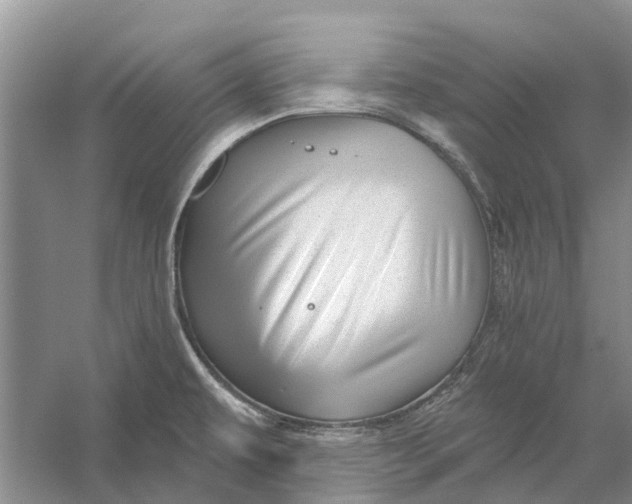 X0000056331479200509232000