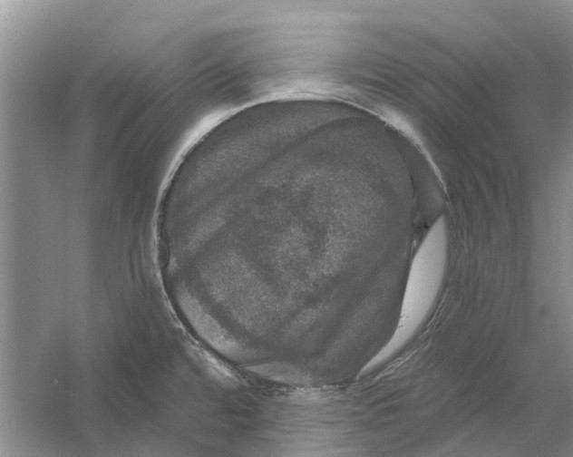 X0000056331480200509232000