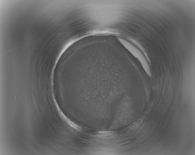 X0000056331483200509232000